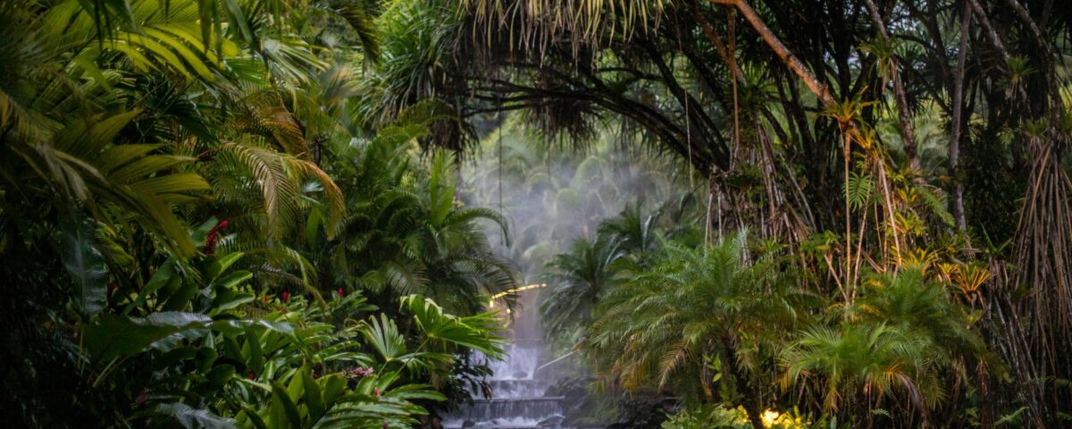 Para hotéis luxuosos em Foz do Iguaçu, as melhores opções incluem o Belmond Hotel das Cataratas, o Wish Foz do Iguaçu e o Gra