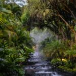 Para hotéis luxuosos em Foz do Iguaçu, as melhores opções incluem o Belmond Hotel das Cataratas, o Wish Foz do Iguaçu e o Gra