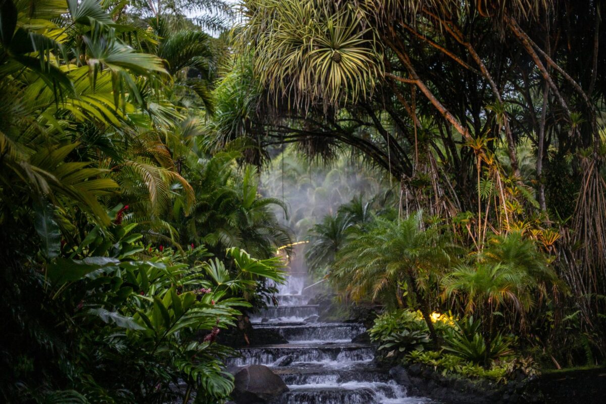 Para passeios em Foz do Iguaçu além das Cataratas, explore o Parque das Aves, o Marco das Três Fronteiras, a Usina Hidrelétri