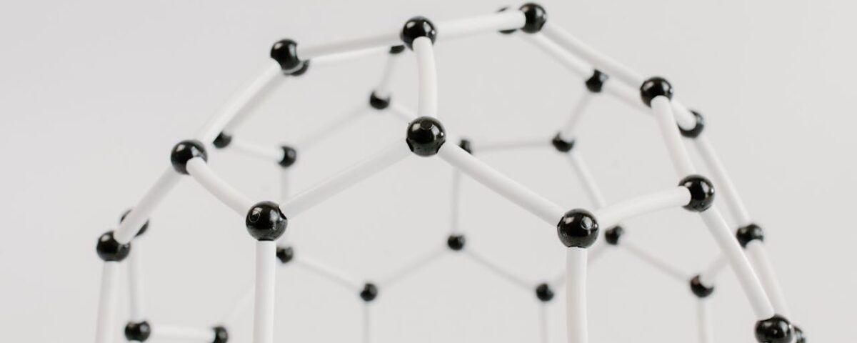 Networking empresarial