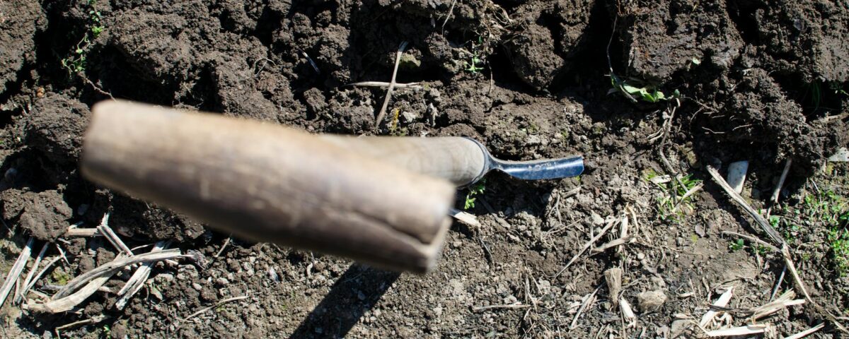 Para agricultura antiga, ela se refere às práticas de cultivo e domesticação de plantas e animais desenvolvidas pelas primeir