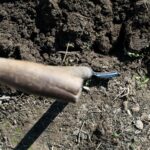 Para agricultura antiga, ela se refere às práticas de cultivo e domesticação de plantas e animais desenvolvidas pelas primeir