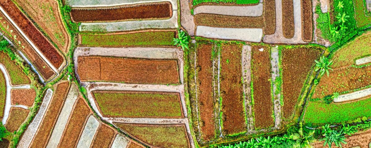 Para entender as características da agricultura, é essencial saber que ela envolve a produção de alimentos, fibras e energia,