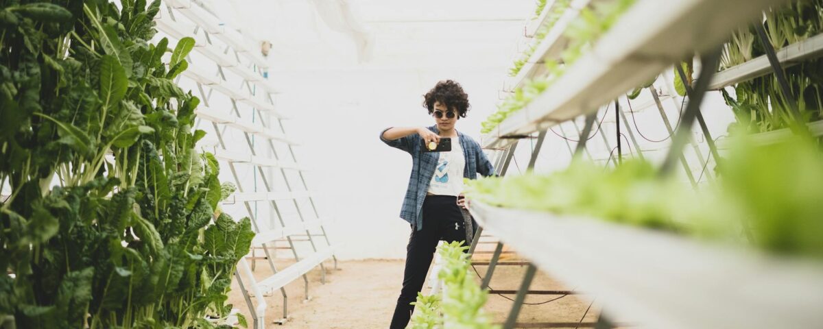 Para entender como era a agricultura antigamente e como é hoje, é crucial observar a transição de métodos manuais, subsistênc
