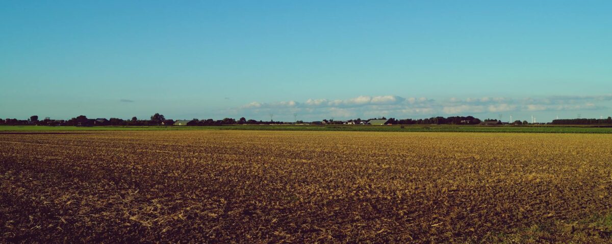 Para consultoria especializada em agronegócio, é essencial buscar parceiros com expertise comprovada em gestão, tecnologia e