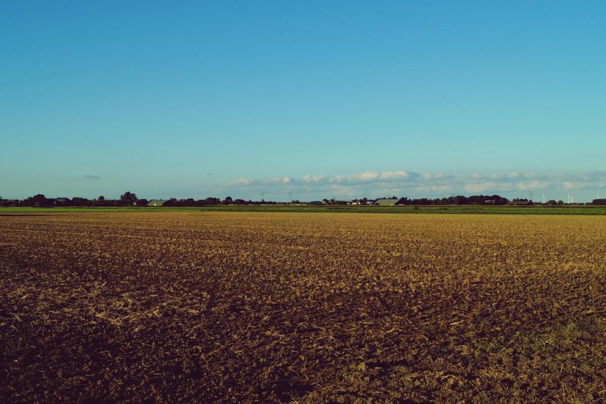 Para inteligência artificial no agronegócio, ela representa uma revolução tecnológica que otimiza processos, desde o plantio