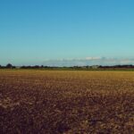 Para inteligência artificial no agronegócio, ela representa uma revolução tecnológica que otimiza processos, desde o plantio