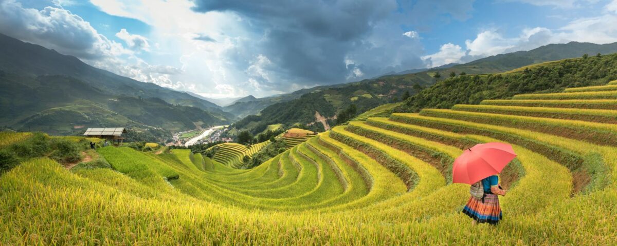 Para o manejo integrado de pragas na agroecologia, implementam-se estratégias ecológicas e sustentáveis que controlam pragas