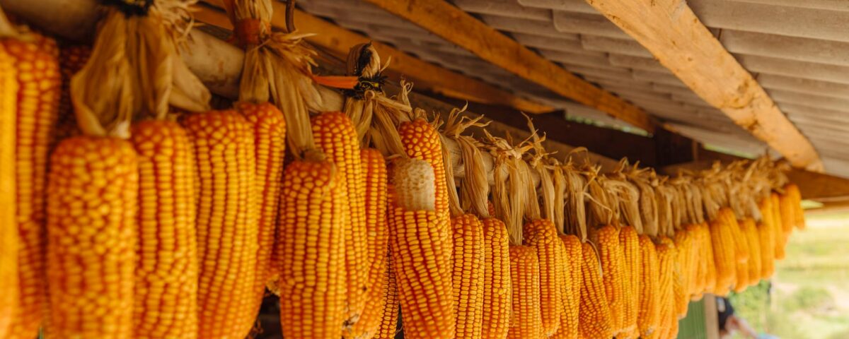 Reaproveitamento de Resíduos Agrícolas: Inovação e Sustentabilidade 6 Para reaproveitamento de resíduos agrícolas, trata-se de um conjunto de práticas e tecnologias que transformam subprodutos da