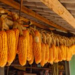 Para reaproveitamento de resíduos agrícolas, trata-se de um conjunto de práticas e tecnologias que transformam subprodutos da