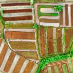 Para sustentabilidade agrícola, refere-se à adoção de práticas que garantem a produção de alimentos e fibras de forma economi