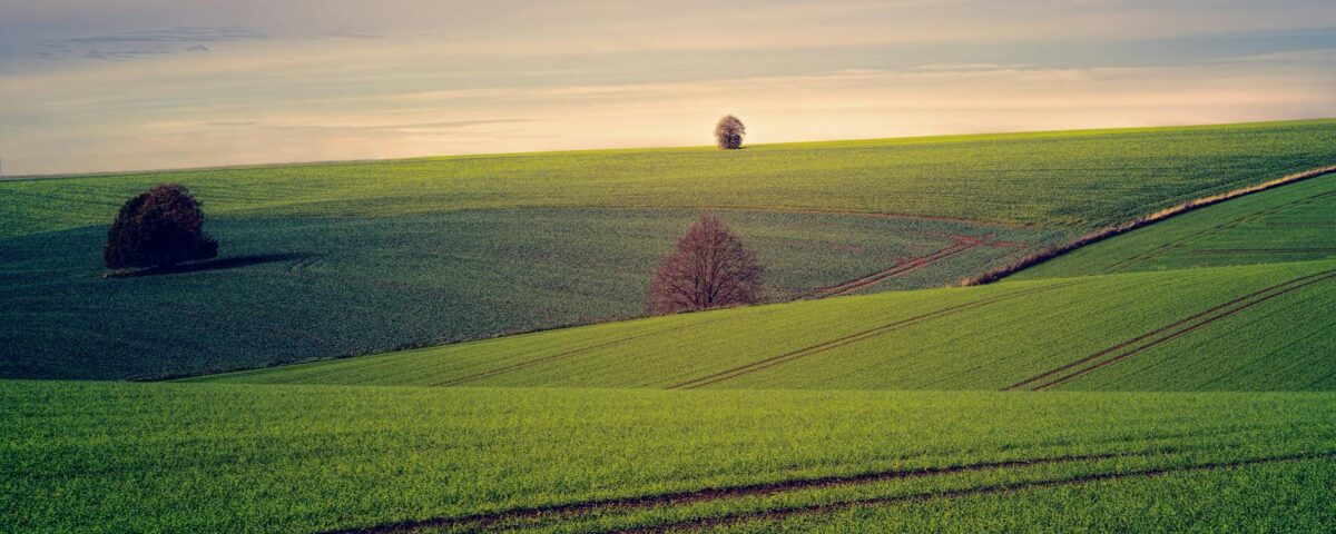 Tecnologia no Agronegócio: Desvendando a Revolução que Transforma o Campo 2 Para tecnologia no agronegócio, trata-se da aplicação de inovações digitais e mecânicas para otimizar processos, aumentar a p