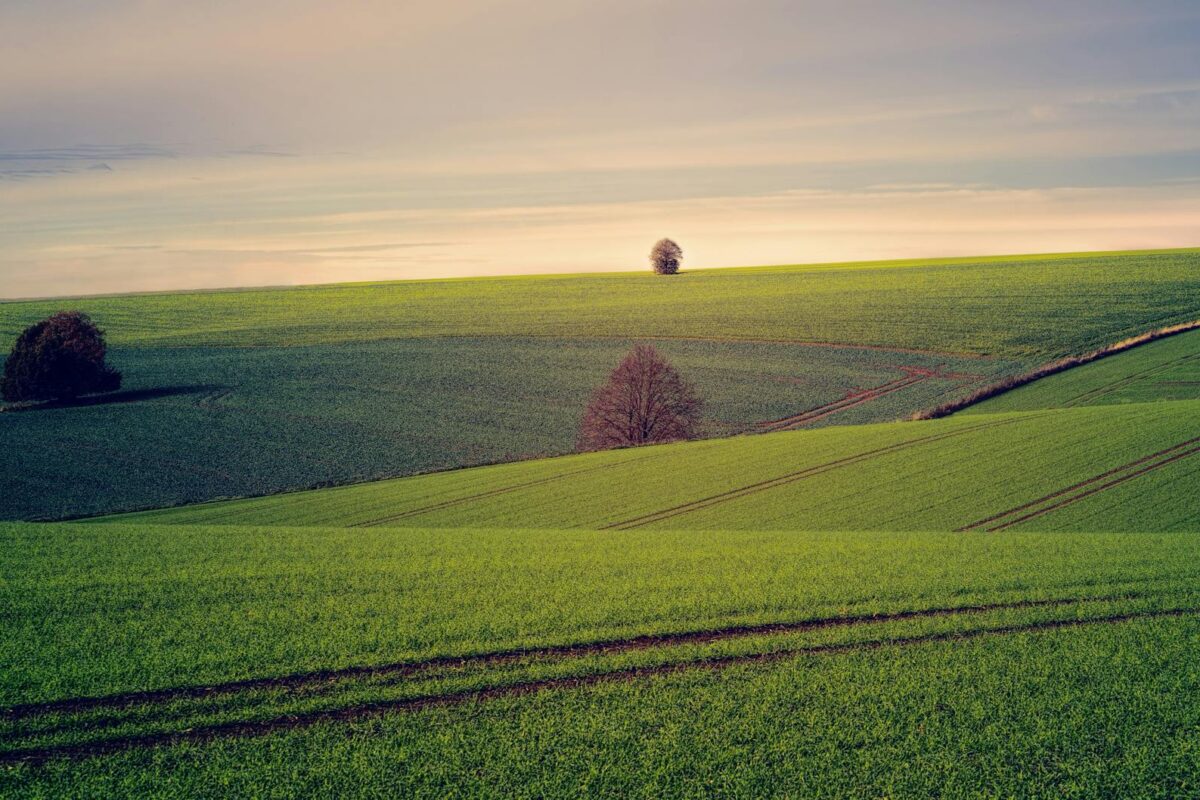 Para tecnologia no agronegócio, trata-se da aplicação de inovações digitais e mecânicas para otimizar processos, aumentar a p