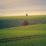 Tecnologia no Agronegócio: Desvendando a Revolução que Transforma o Campo 5 Para tecnologia no agronegócio, trata-se da aplicação de inovações digitais e mecânicas para otimizar processos, aumentar a p