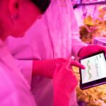 Para um trabalho sobre agricultura, é fundamental abordar temas como sustentabilidade, tecnologias aplicadas, impactos socioe